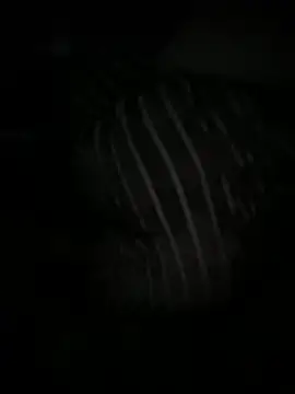 Angel Lov3 online show from 04/11/26, 05:23