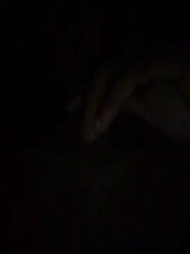 Snapshot of gostinhopauzudo chatting on 03/22/26, 03:21 gostinhopauzudo online show from 03/22/26, 03:21