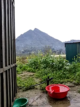 Snapshot of phay79 chatting on 03/10/26, 12:04 phay79 online show from 03/10/26, 12:04