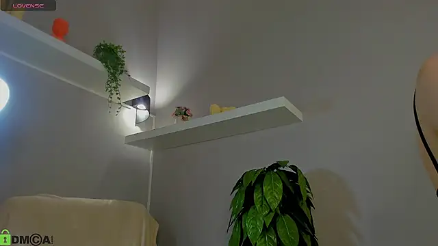 KiittieX online show from 05/25/26, 06:30