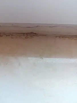 Snapshot of jeniferoo chatting on 03/11/26, 08:42 jeniferoo online show from 03/11/26, 08:42