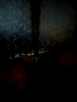 Snapshot of dualeo11 chatting on 03/30/26, 11:06 dualeo11 online show from 03/30/26, 11:06