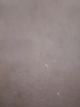 Snapshot of kavita-bhabhi-chut chatting on 03/09/26, 07:51 kavita-bhabhi-chut online show from 03/09/26, 07:51