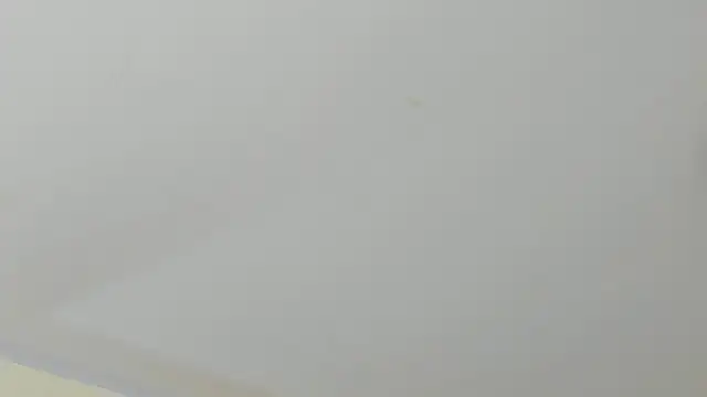 SofiiMontes online show from 05/11/26, 12:00