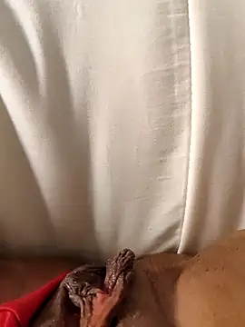 hasapequinha online show from 03/19/26, 06:01