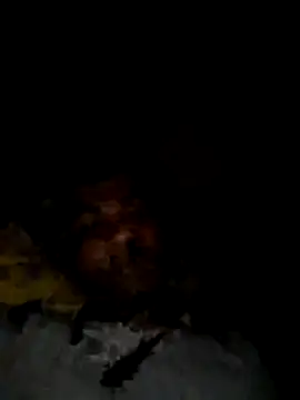 Palash2001 online show from 04/18/26, 05:50
