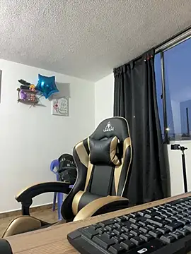 Snapshot of camilo_andres1 chatting on 03/17/26, 11:19 camilo andres1 online show from 03/17/26, 11:19