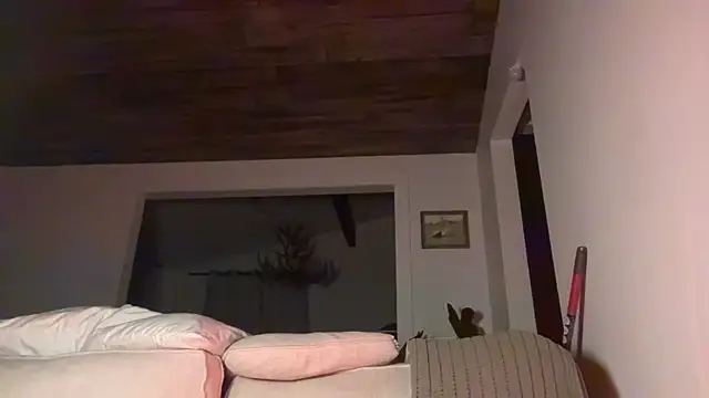 DylanBrook online show from 06/01/26, 04:58