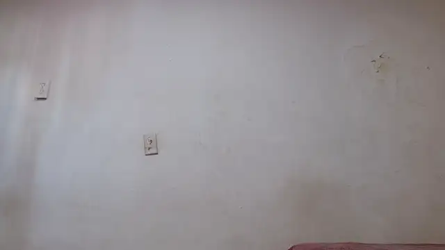 pircohg online show from 04/22/26, 05:58