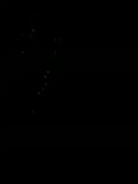 nabil00901 online show from 05/13/26, 12:41
