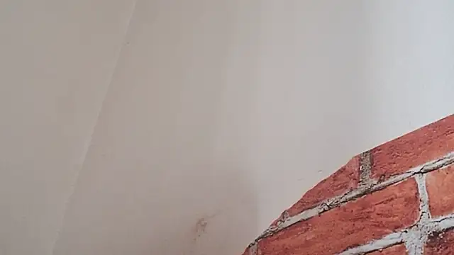 Snapshot of Sueliton2 chatting on 03/28/26, 05:34 Sueliton2 online show from 03/28/26, 05:34