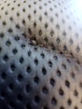 Snapshot of ejthedancer chatting on 03/24/26, 05:29 ejthedancer online show from 03/24/26, 05:29