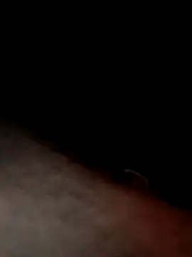 Snapshot of dannyboy8in chatting on 03/24/26, 05:34 dannyboy8in online show from 03/24/26, 05:34