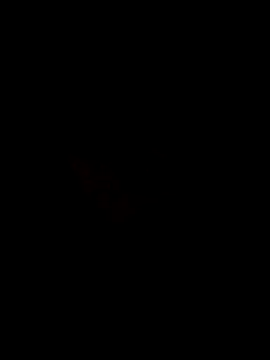 SLBL online show from 04/24/26, 05:26