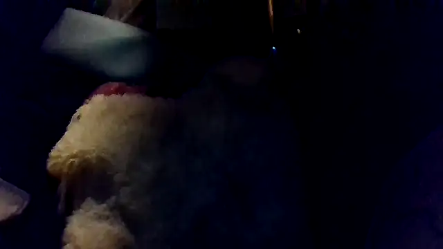 shag369 online show from 04/30/26, 05:36