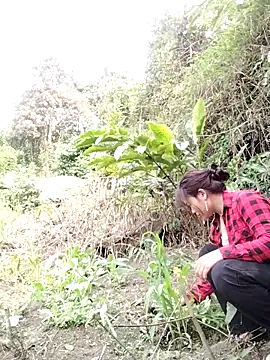 Giang-mylove online show from 04/04/26, 02:32