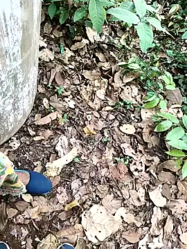 Snapshot of Chandni78 chatting on 04/02/26, 07:50 Chandni78 online show from 04/02/26, 07:50