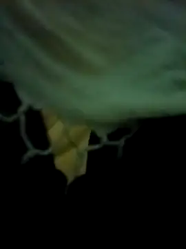 Snapshot of yourdreamman007_ chatting on 03/31/26, 11:27 yourdreamman007 online show from 03/31/26, 11:27