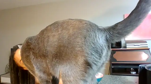 Snapshot of madzbailey chatting on 04/02/26, 12:25 madzbailey online show from 04/02/26, 12:25