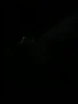 shykinks online show from 06/10/26, 04:12