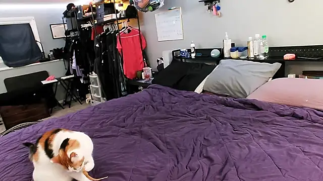 PolyCircus online show from 04/12/26, 04:06