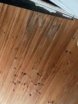 Snapshot of Juliett06 chatting on 04/05/26, 04:26 Juliett06 online show from 04/05/26, 04:26