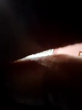 doggy69-dog online show from 04/05/26, 09:28