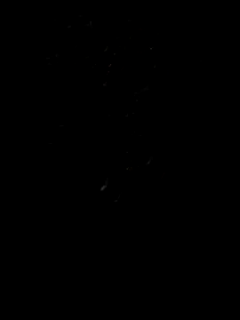 Snapshot of Rocky_pune chatting on 04/08/26, 01:55 Rocky pune online show from 04/08/26, 01:55