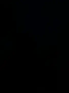 Snapshot of segbemal chatting on 04/24/26, 11:29 segbemal online show from 04/24/26, 11:29