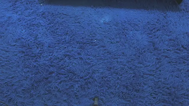 Snapshot of Mia-collins01 chatting on 04/15/26, 12:34 Mia-collins01 online show from 04/15/26, 12:34