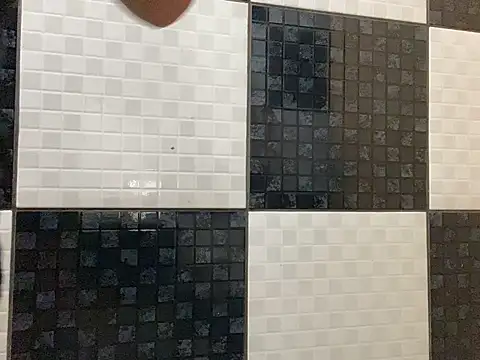 DignoDePutaria online show from 04/15/26, 01:07