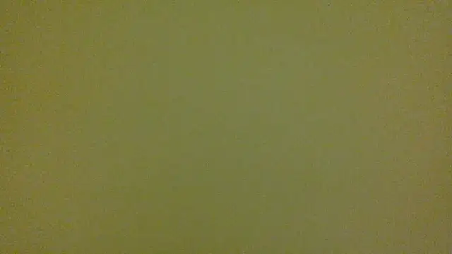 average jack online show from 04/16/26, 11:29