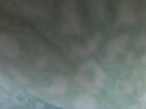 Short-V online show from 04/17/26, 08:12