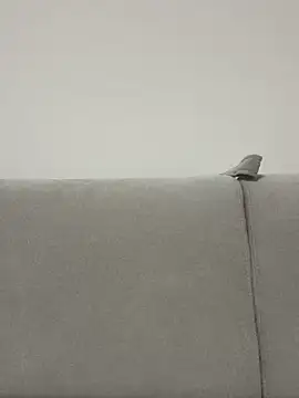 bunnnnyyyyyyyy online show from 04/23/26, 05:48