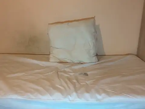 Snapshot of crazytranny chatting on 01/18/25, 09:24 crazytranny online show from 01/18/25, 09:24