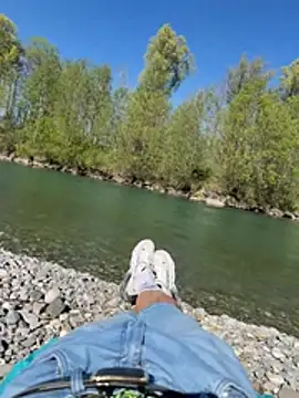 Wolf 18cm online show from 04/25/26, 02:25