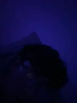 OoRobertooo online show from 05/01/26, 03:55