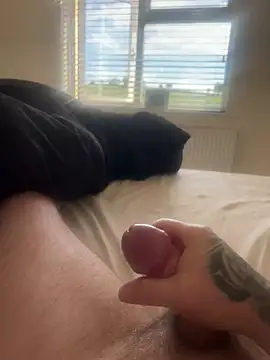 hardcock0987allthetime1 online show from 05/31/26, 06:53