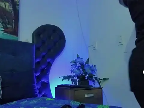dreamycushions online show from 05/22/26, 06:46