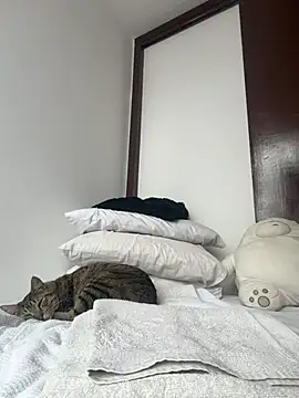 Charlottee01- online show from 07/01/26, 08:52