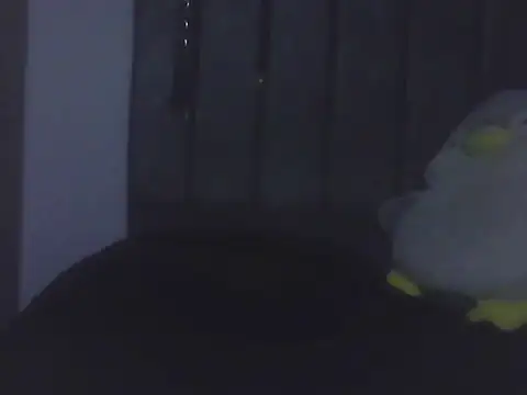 Gnnnnnn000 online show from 06/09/26, 12:44