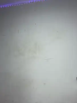 NattySexx  online show from 06/13/26, 03:37