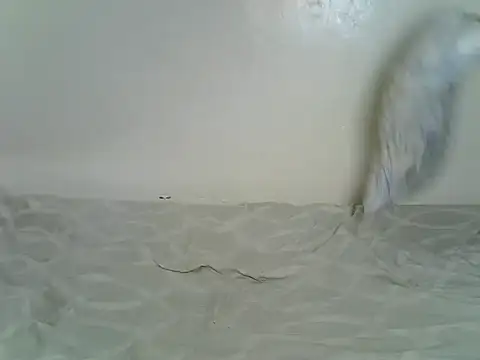 Sexxyfrey online show from 06/29/26, 05:46