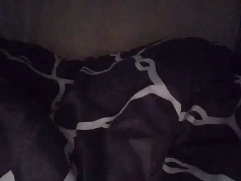 fatpusy002 online show from 06/26/26, 03:44