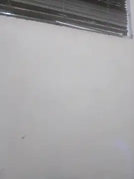 Badflacocachondo online show from 06/17/26, 07:00