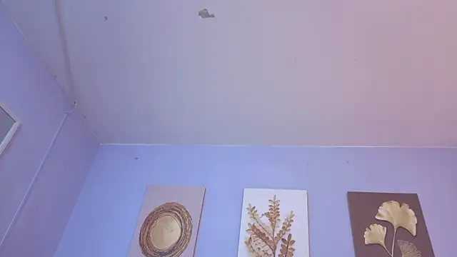 Nicolas Ford online show from 05/27/26, 12:24