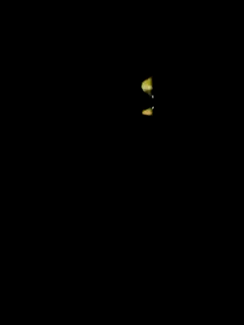 lambakooli online show from 06/13/26, 07:56