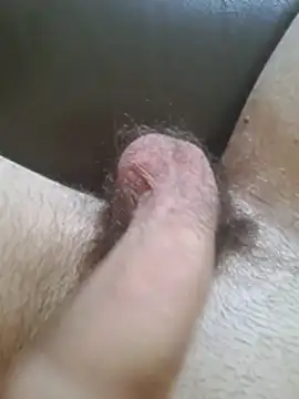 Snapshot of ShyDicksGuy chatting on 07/21/26, 01:02 ShyDicksGuy online show from 07/21/26, 01:02