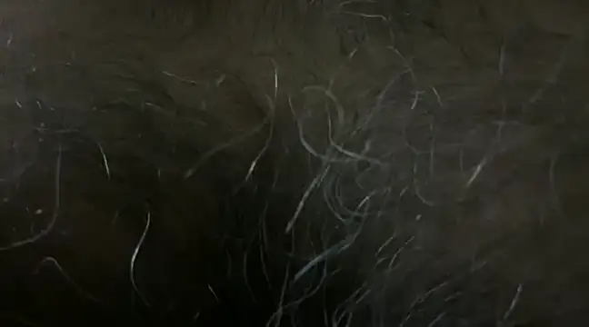 SatBull007 online show from 01/18/25, 06:10