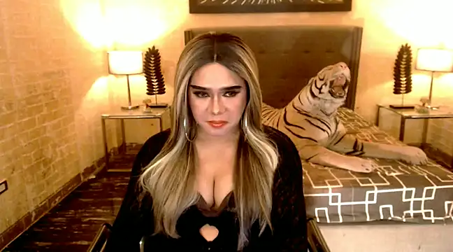 Snapshot of BigCumHuntersxx chatting on 01/22/25, 08:28 BigCumHuntersxx online show from 01/22/25, 08:28